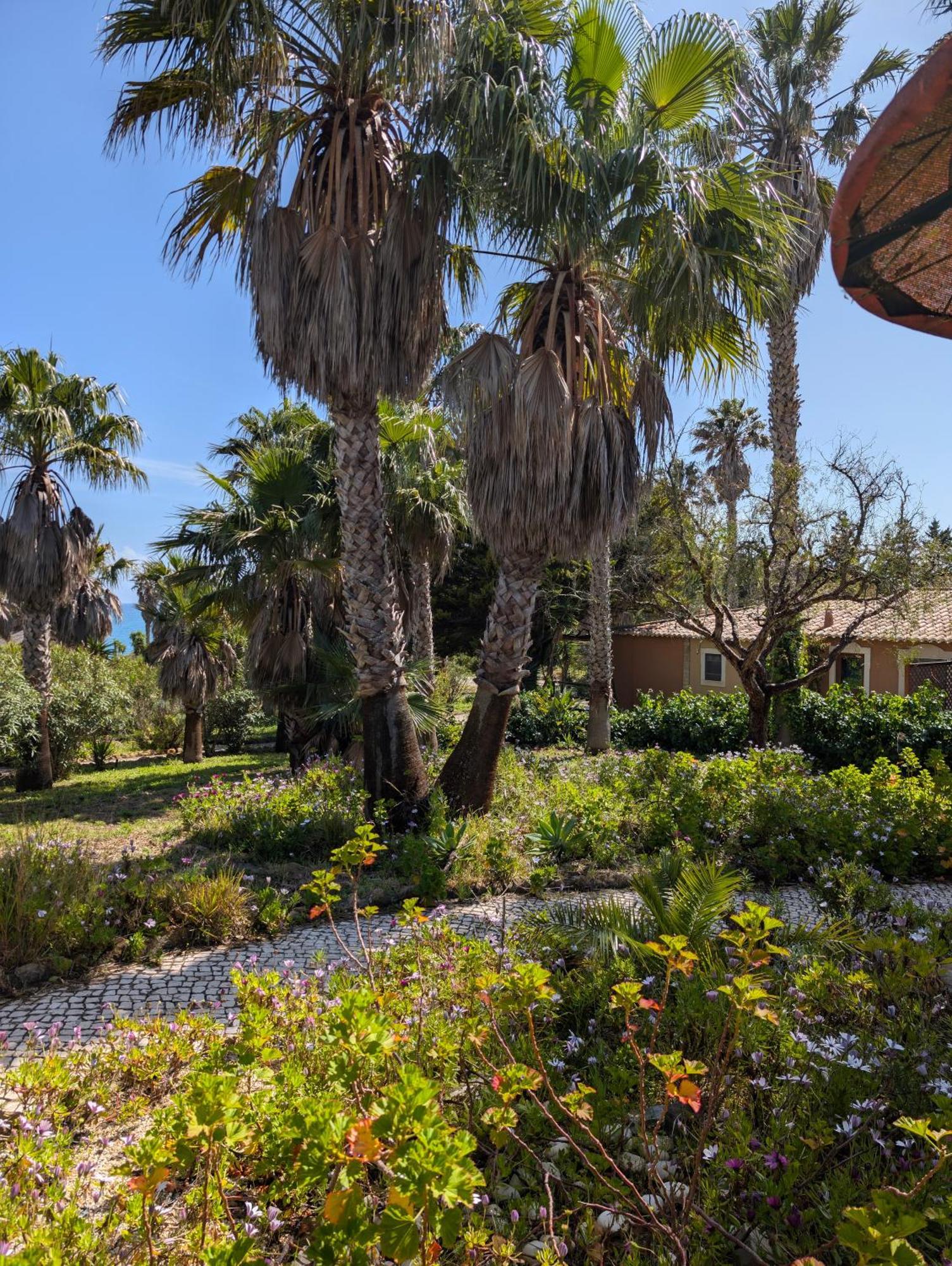Quinta Do Mar - Country & Sea Village Parco vacanze 3*
