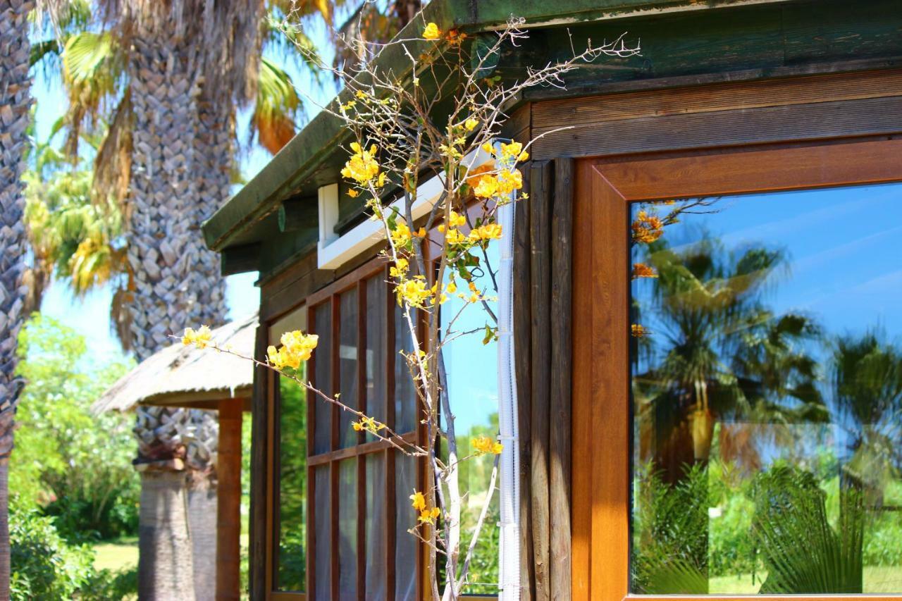 Parco vacanze Quinta Do Mar - Country & Sea Village Luz